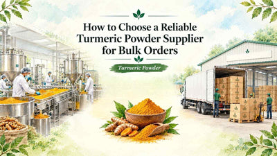 Turmeric Powder Supplier for Bulk Orders