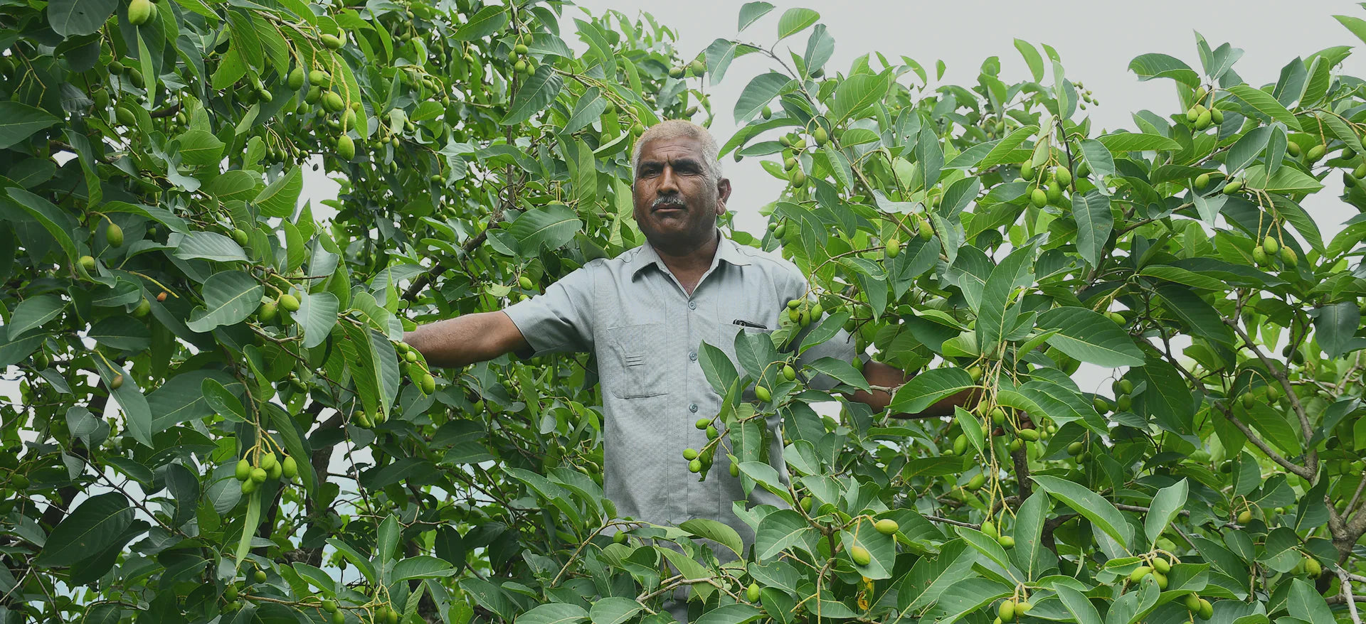 The Story of Lekhraj: A New Beginning from the Soil