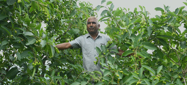 The Story of Lekhraj: A New Beginning from the Soil