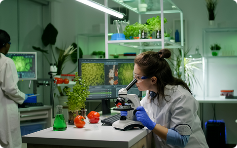 Celebrating 25 Years of Excellence in Organic Farming and Processing