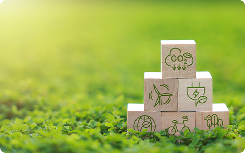 Sustainability in Action Our Commitment to Greener Practices