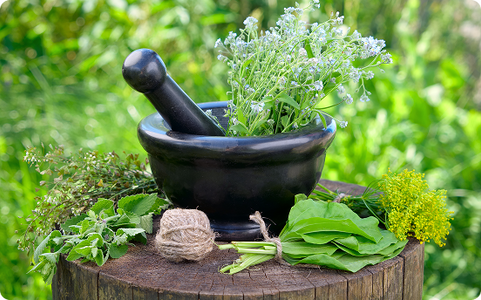 Top 5 Global Trends in Natural & Herbal Wellness for 2025