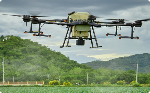 The Future of Organic Farming Innovations Shaping Global Agriculture