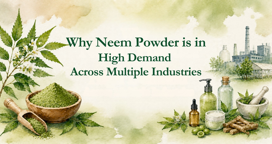 Why Neem Powder is in High Demand Across Multiple Industries