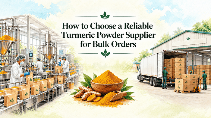 Turmeric Powder Supplier for Bulk Orders