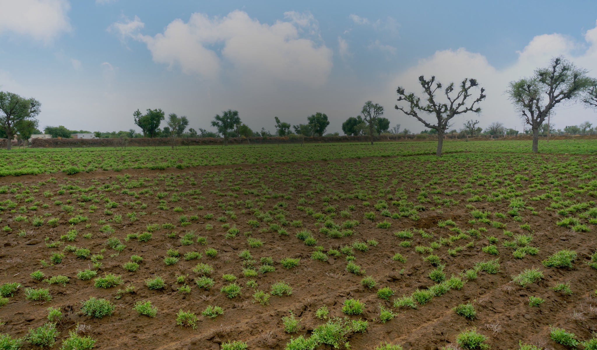 Where Nature and  Humanity    Grow Together