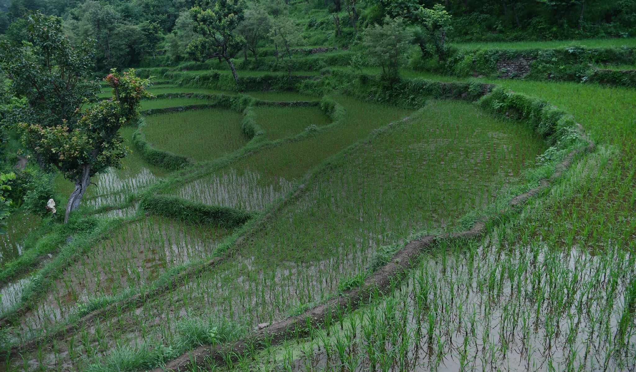 Where Nature and  Humanity Grow  Together