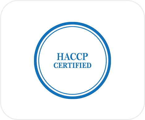 Certification Icon