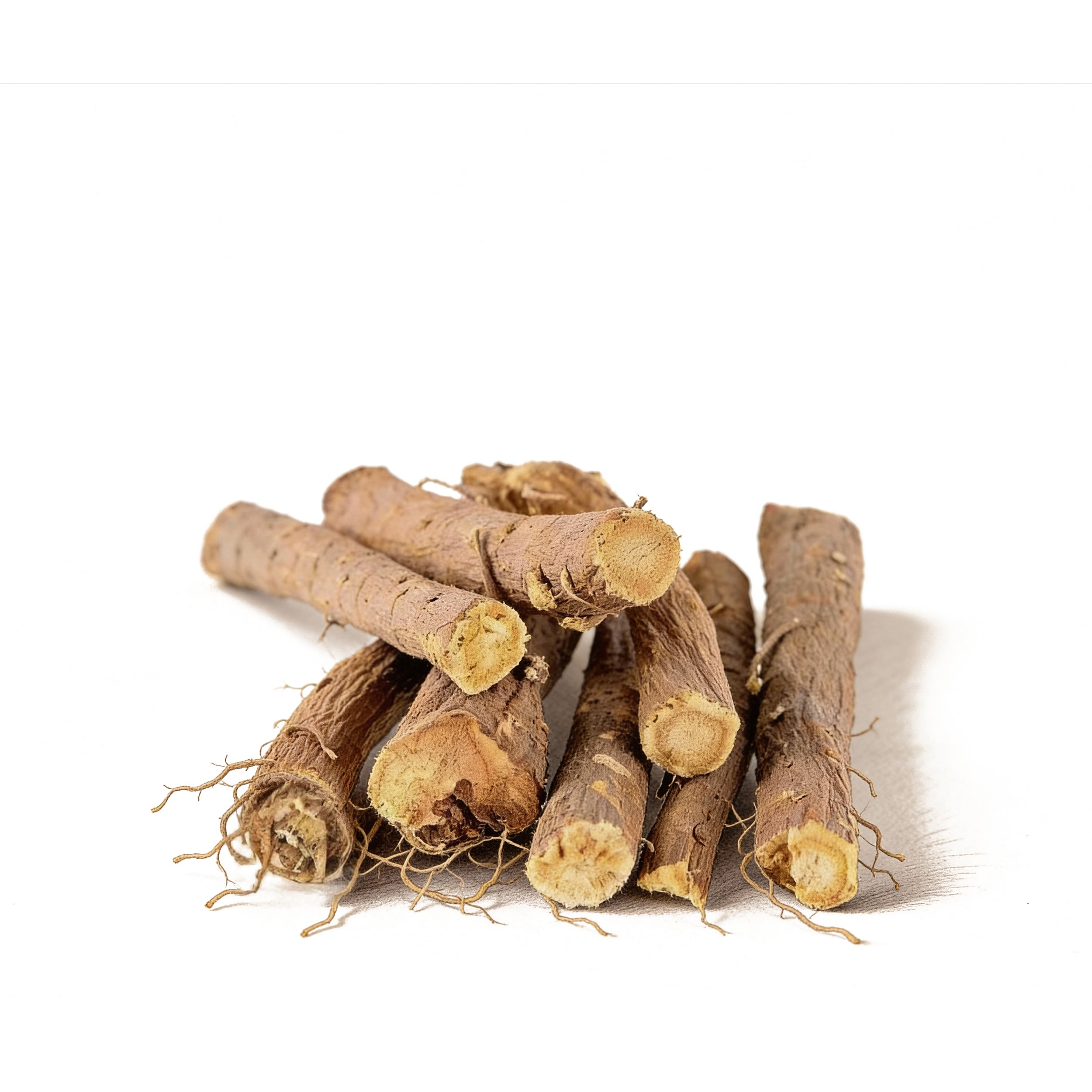 Inula racemosa (Puskarmool) Roots| Cultivators Natural