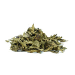 Ocimum gratissimum (Vana tulsi) Leaves