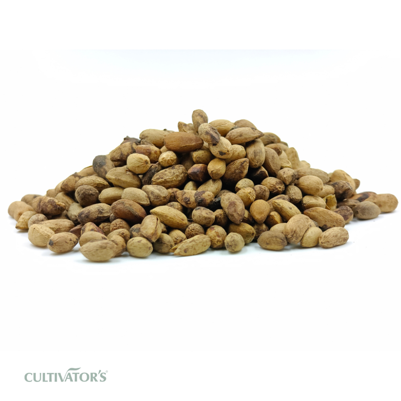 Organic Neem Seeds