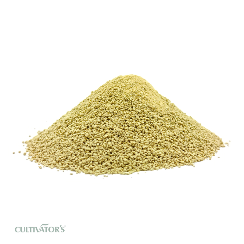 Organic Aloe Vera Leaves Granules