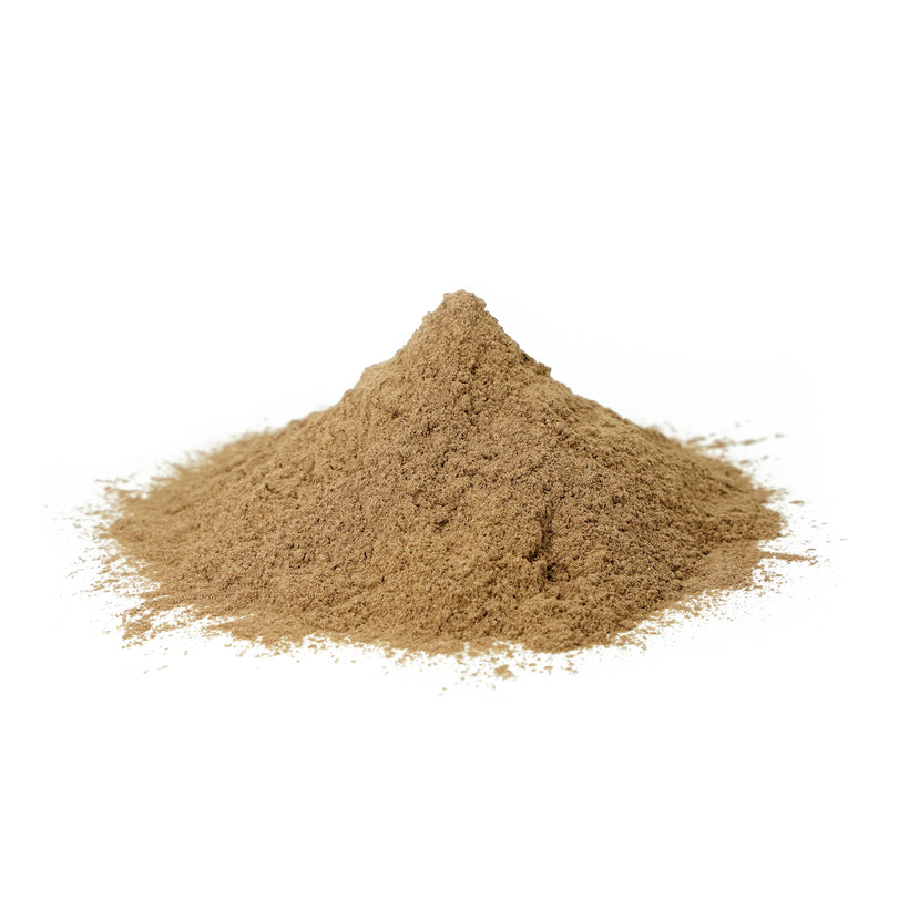 Bulk Herbal Saraca Indica (Ashoka) Bark Powder