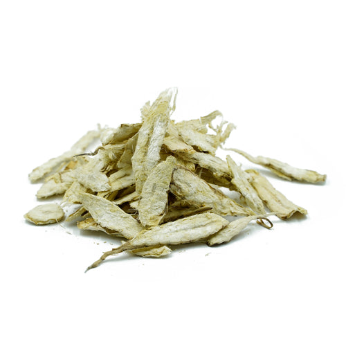 Maranta arundinacea (Arrowroot) Rhizome