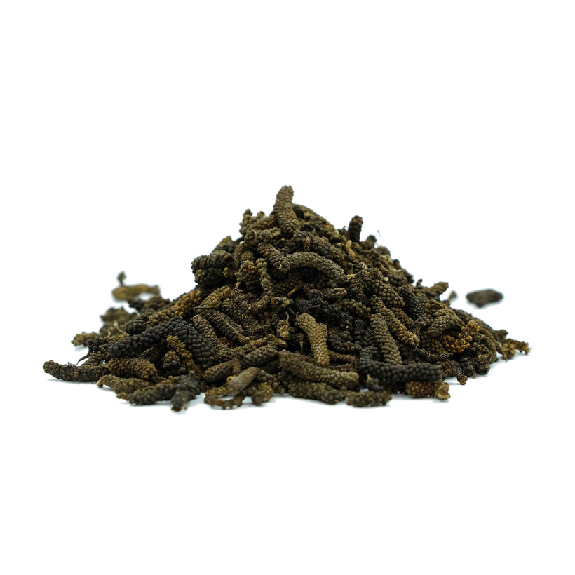 Piper longum (Long Pepper) Fruit