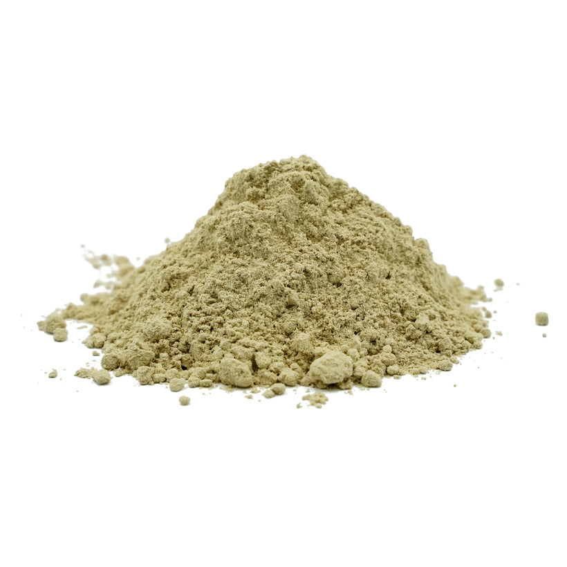 Bulk Herbal Alpinia Galanga (Galangal) Roots Powder
