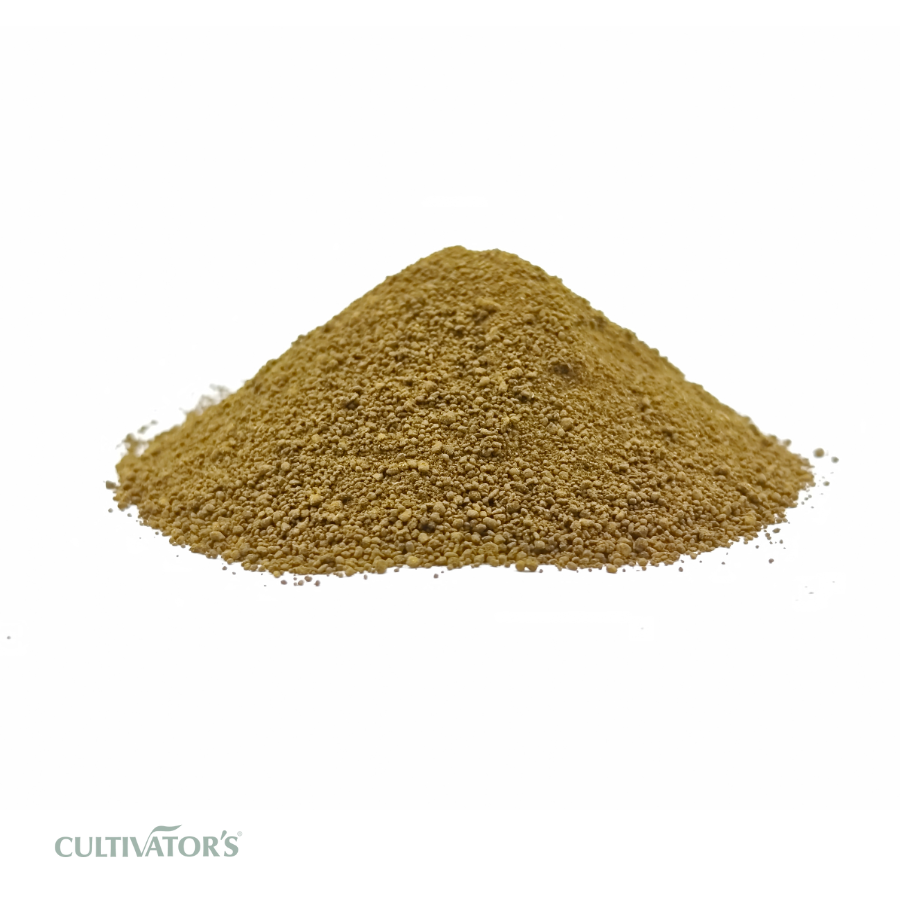 Organic Krishna Tulsi Leaves Granules