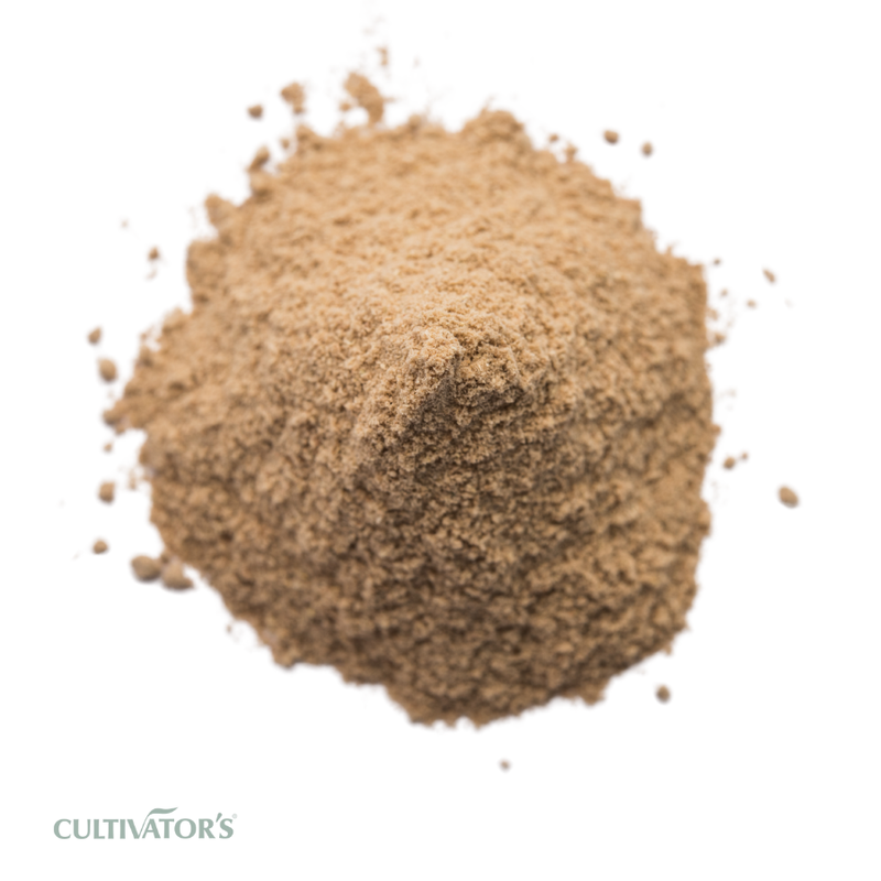 Organic Amchur Powder
