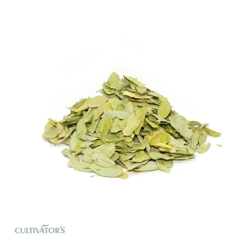 Organic Tanner’s Cassia Leaves