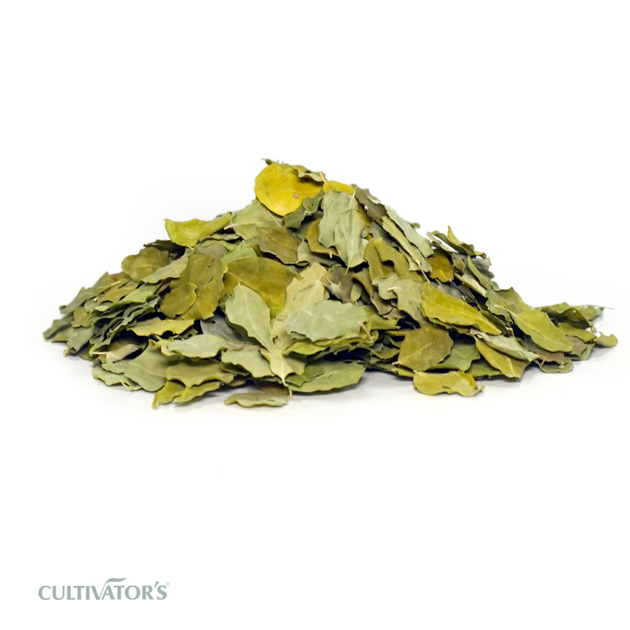 Organic Moringa Leaves