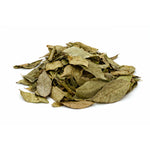 Murraya koenigii (Curry Leaves) Leaf