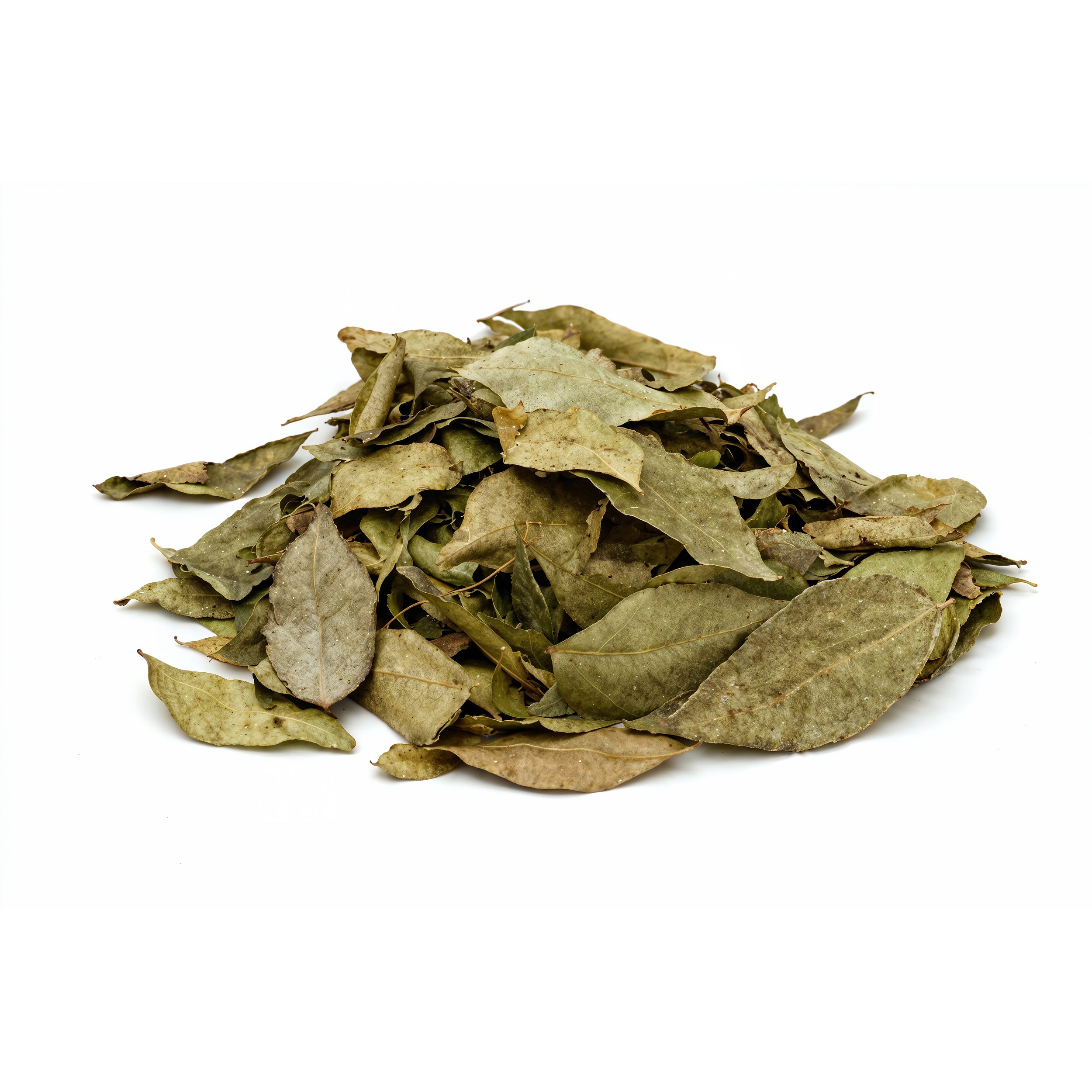 Murraya koenigii (Curry Leaves) Leaf