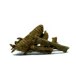 Symplocos recemosa (Lodhra) Bark