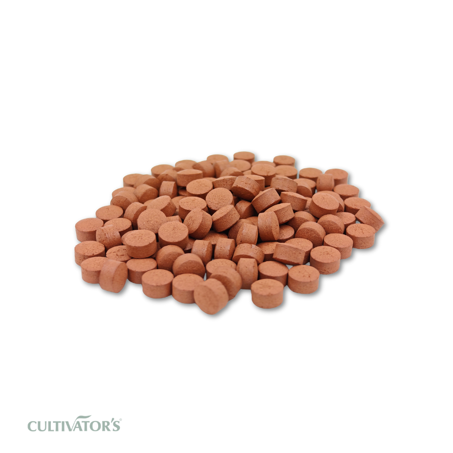 Organic Manjistha Tablets