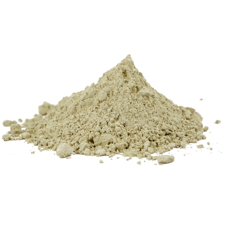 Wholesale Organic Plantago Ovata (Psyllium) Seeds Powder