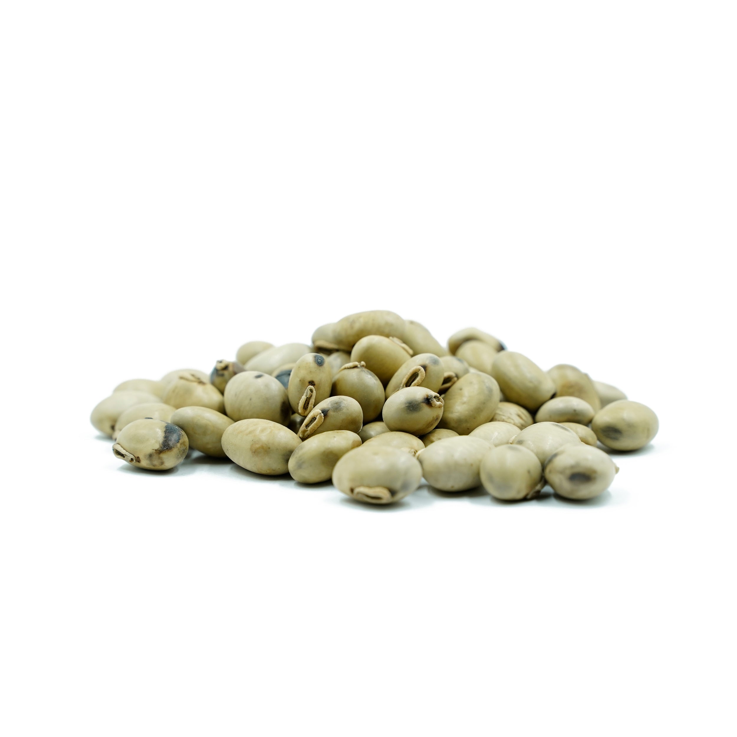Mucuna prurita (Mucuna / Kaunch) Seeds