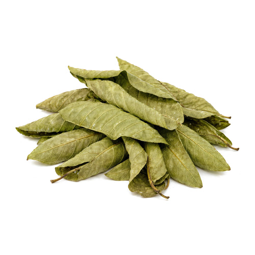 Psidium guajava (Guava) Leaves