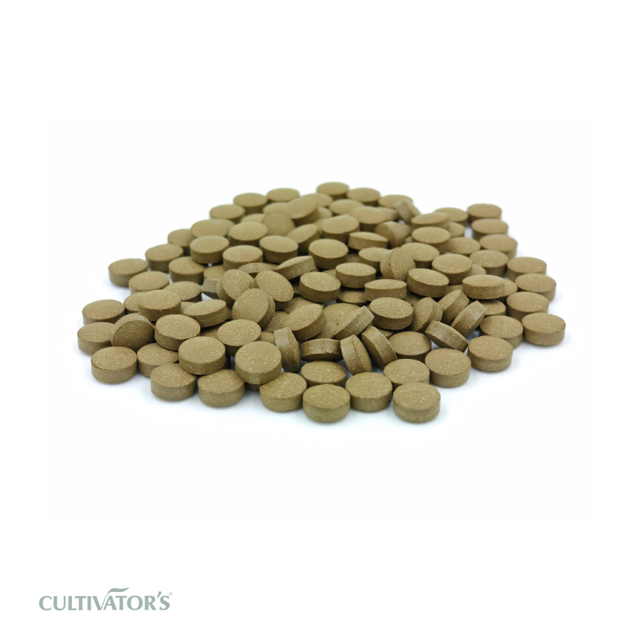 Organic Rama Tulsi Tablets