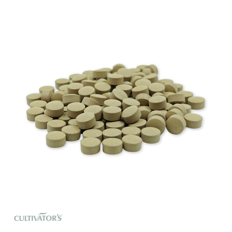 Organic Guduchi Tablets