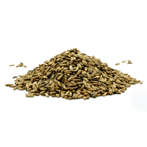 Silybum marianum (Milk Thistle) Seeds