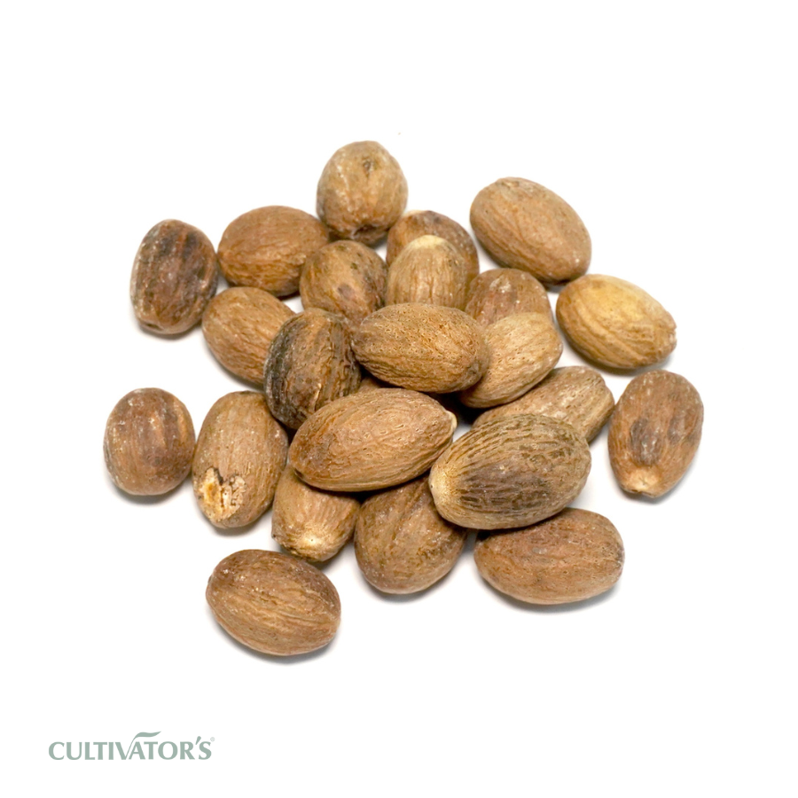 Organic Nutmeg Seeds