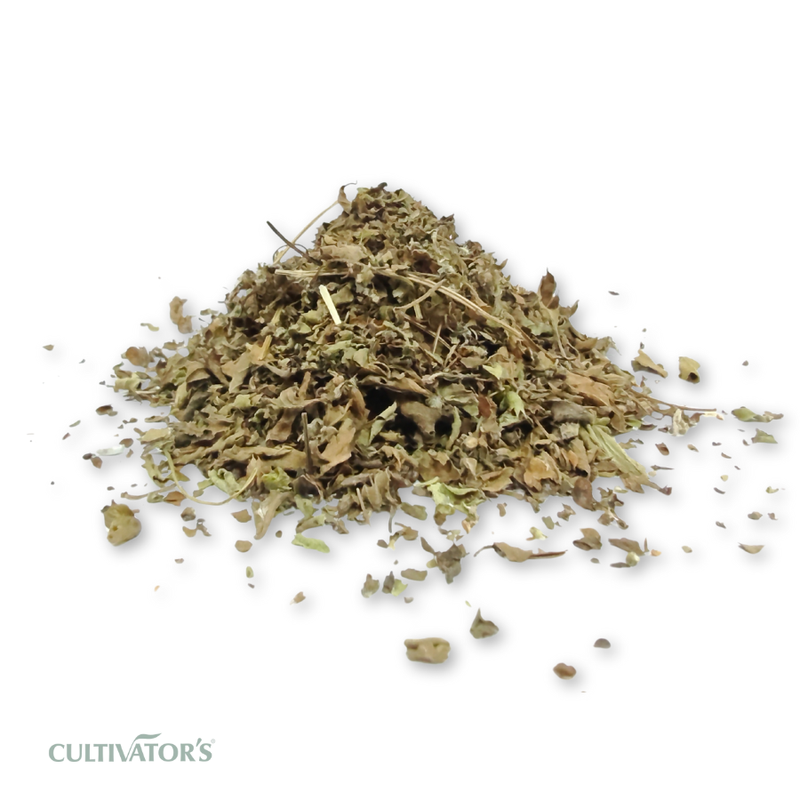 Organic Vana tulsi Leaves