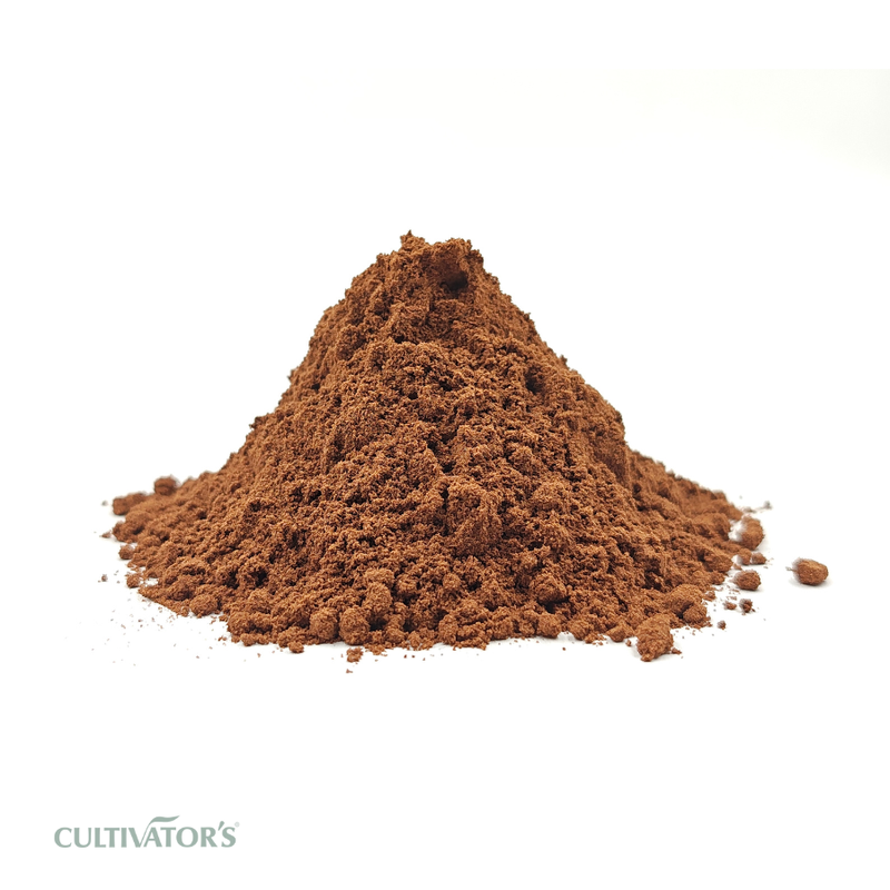 Organic Vidanga Fruit Powder