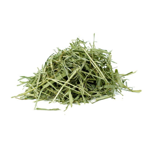 Triticum aestivum (Wheatgrass) Leaves