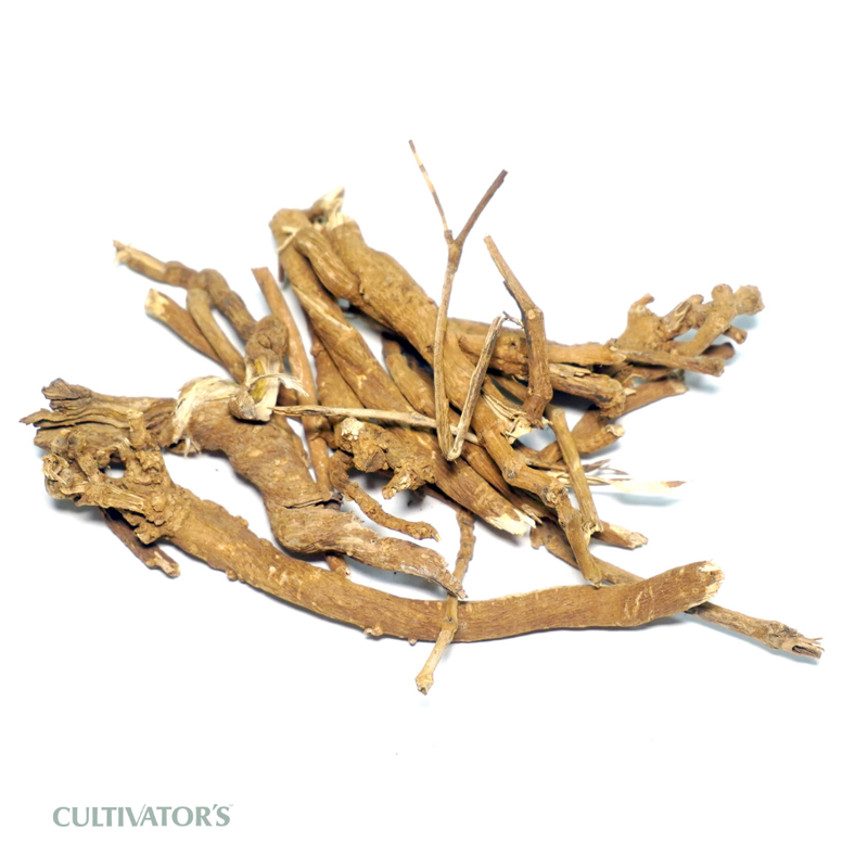 Organic Punarnava Roots