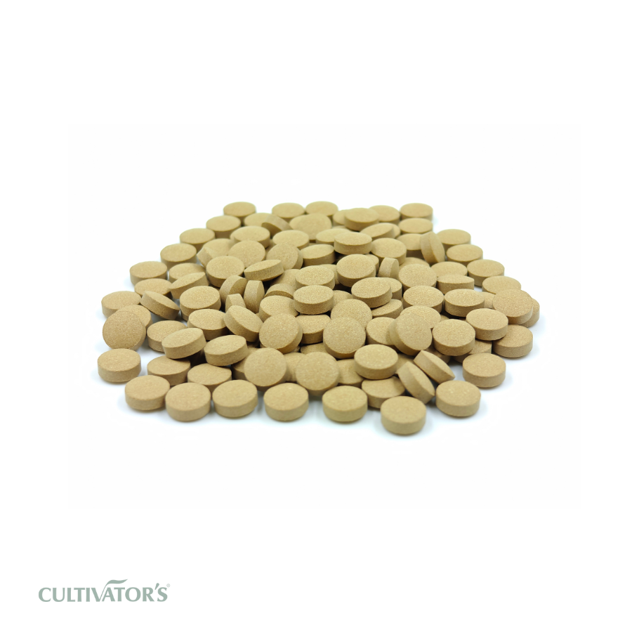 Organic Amla Tablets