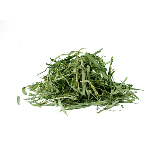 Hordeum vulgare (Barley Grass) Leaves