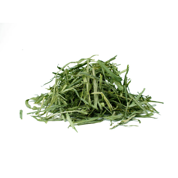 Hordeum vulgare (Barley Grass) Leaves