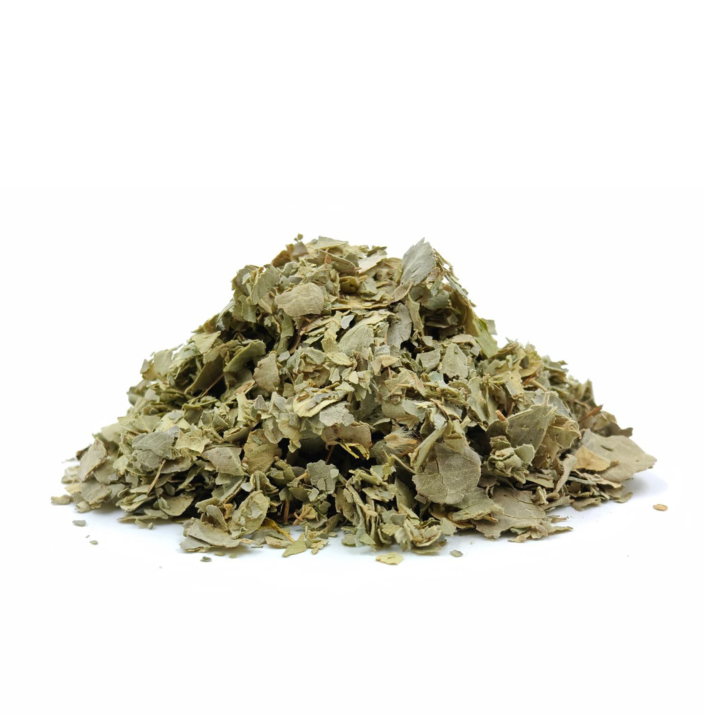 Ziziphus spina-Christi (Sidr) Leaves