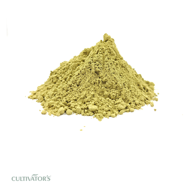 Organic Senna Leaf Powder
