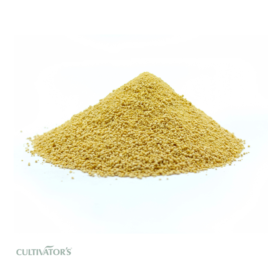 Organic Shatavari Root Granules