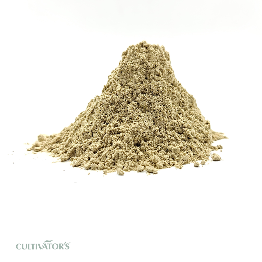 Organic Shankhpushpi Powder