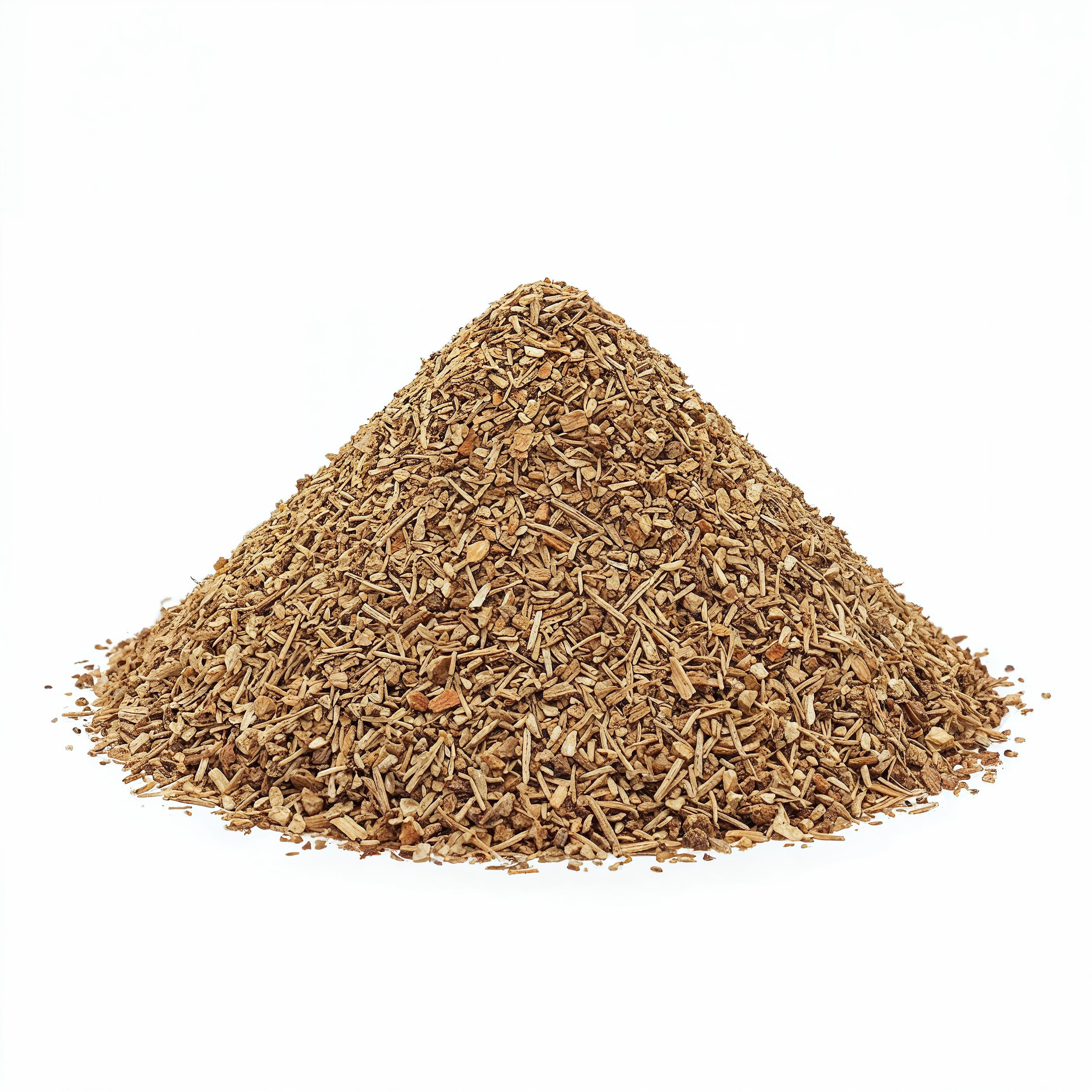 Coleus forskohlii (coleus) Roots TBC