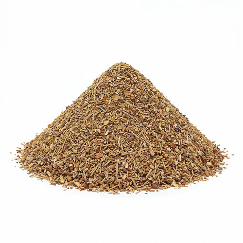 Coleus forskohlii (coleus) Roots TBC