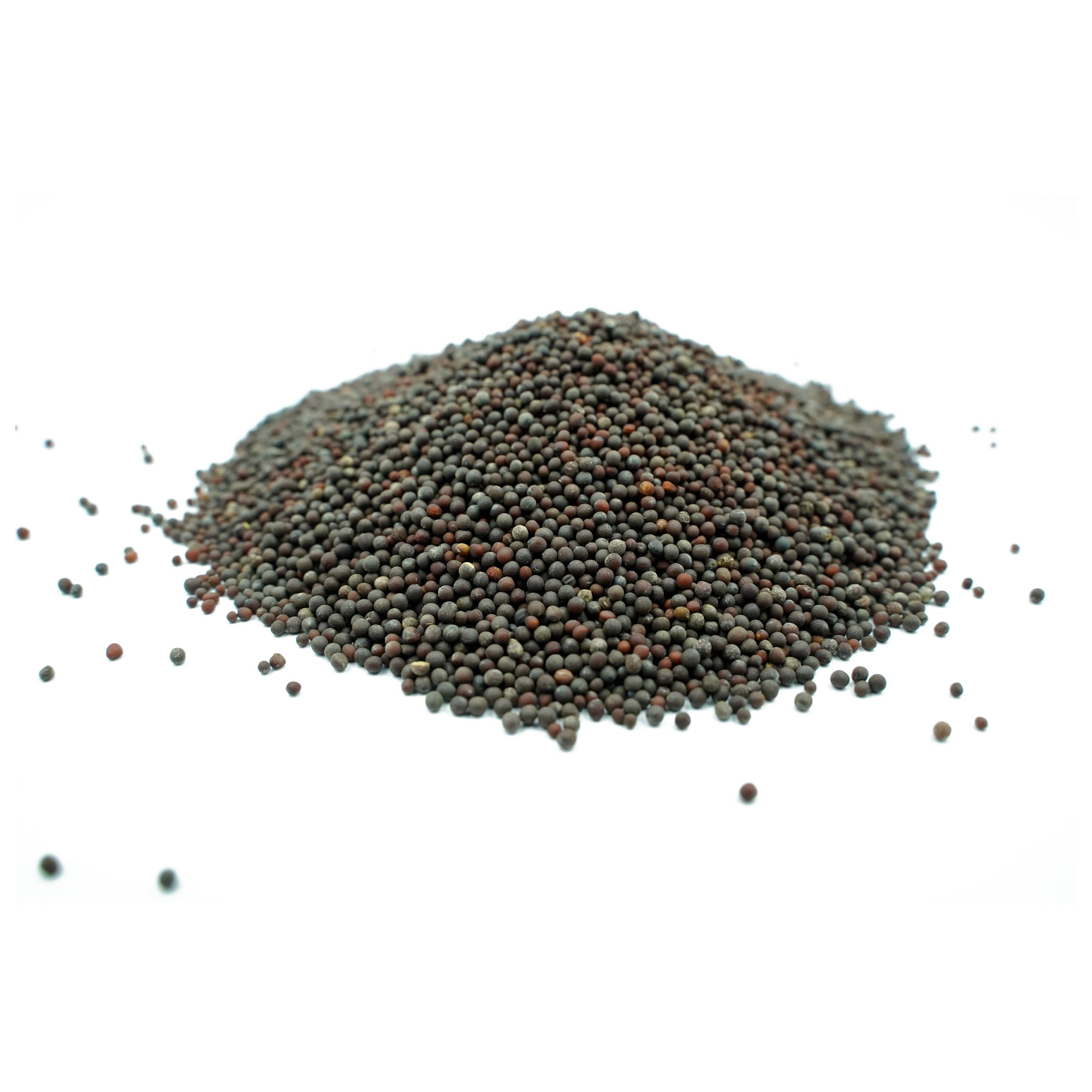 Brassica juncea (Brown Mustard) Seeds
