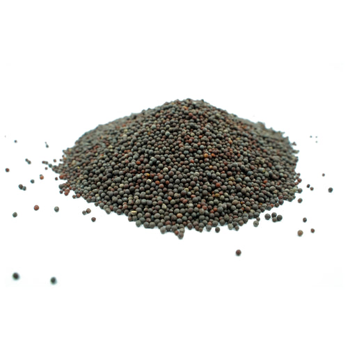 Brassica juncea (Brown Mustard) Seeds